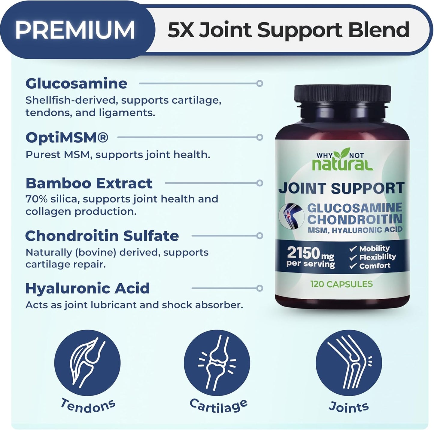 Glucosamine & MSM Joint Support