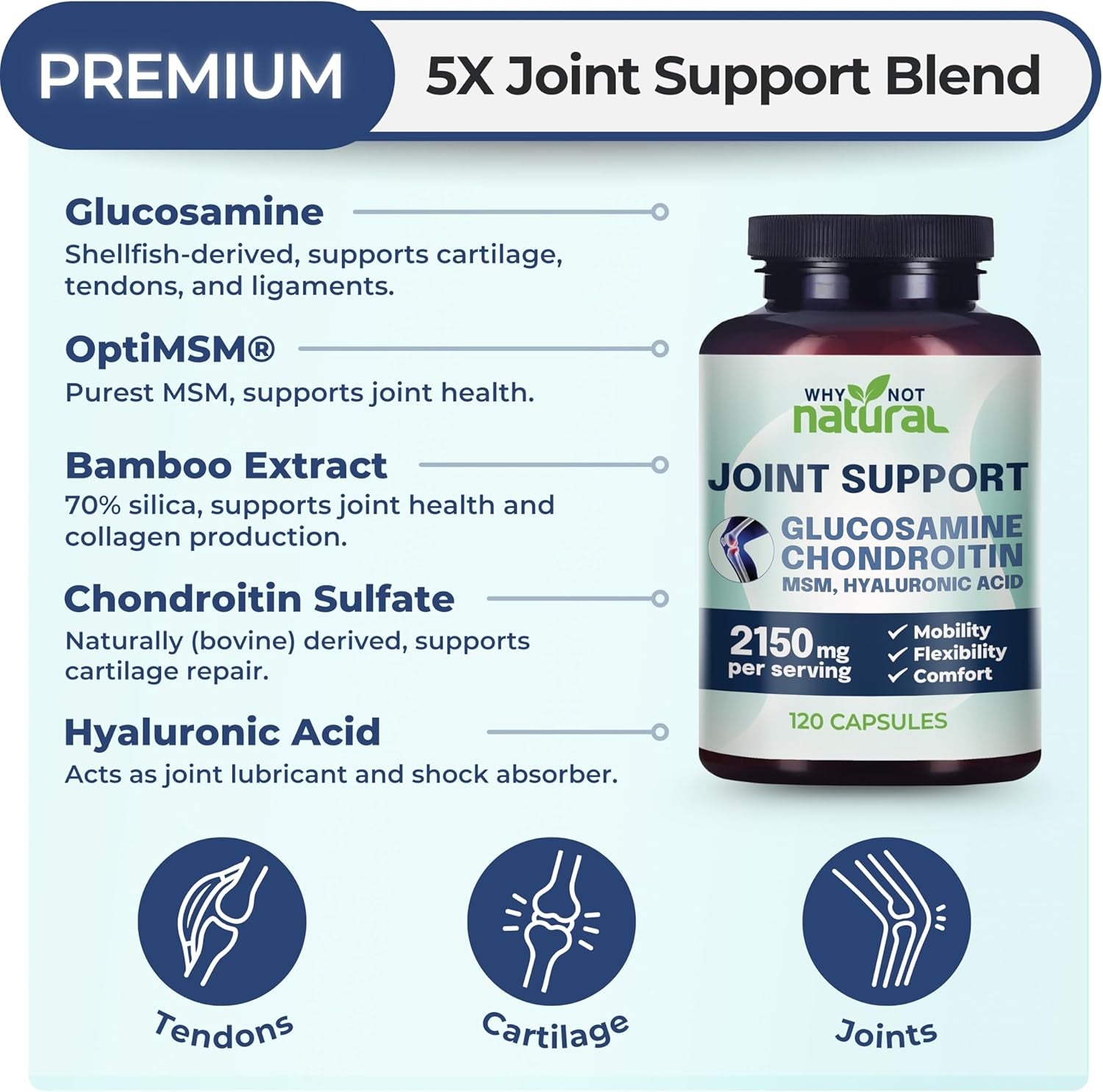 Glucosamine & MSM Joint Support